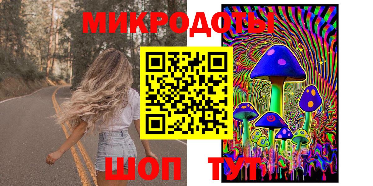 Псилоцибиновые грибы Psilocybine cubensis Кудымкар