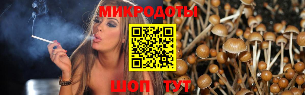 Псилоцибиновые грибы прущие грибы  Вход с VPN  Кудымкар 
